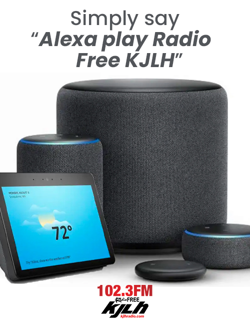 Can i play radio best sale on alexa