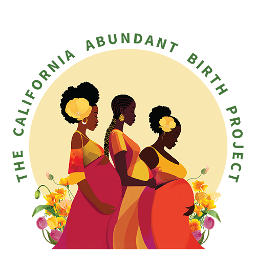 The Abundant Birth Project