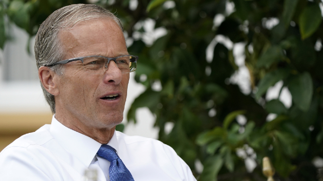 Thune plows ahead to pass Trump’s megabill as Musk continues to bash it