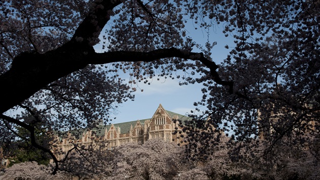 Man arrested in murder of transgender University of Washington student: Police