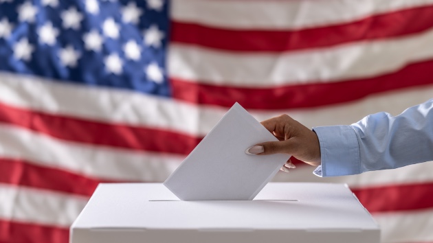 Democratic power players launch bipartisan effort to ‘sabotage-proof’ elections