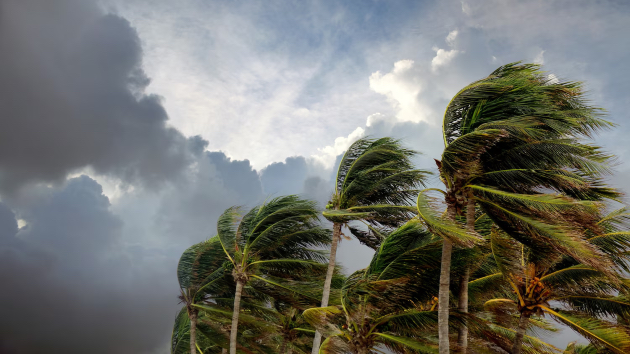 Tropical Storm Bertha takes shape off the Florida coast, prompting storm alerts