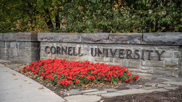 Cornell 2 gty er 221108 1667941205213 hpmain 3 16x9