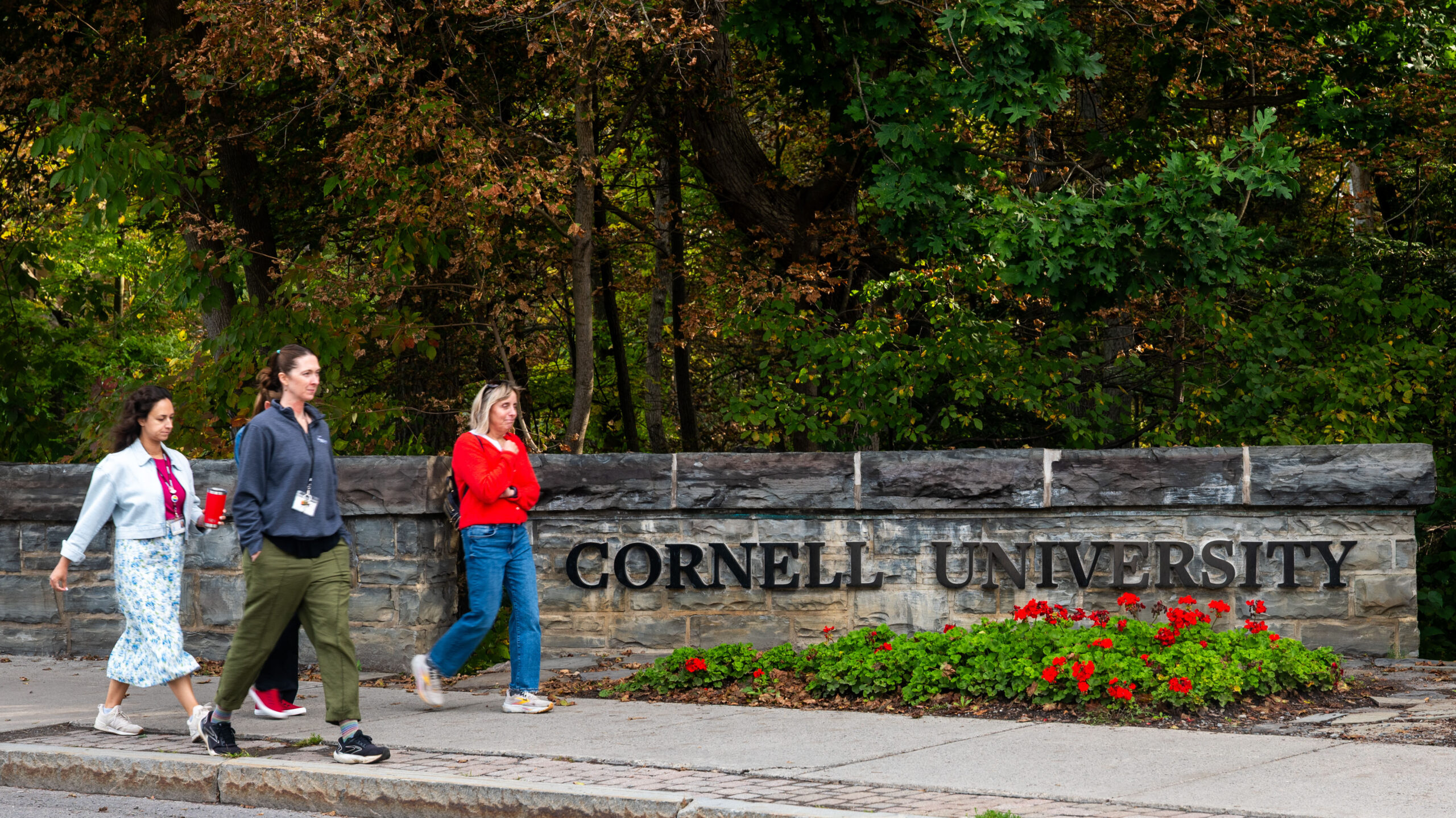 Getty cornelluniversity 100826